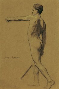 Studio di nudo maschile in piedi