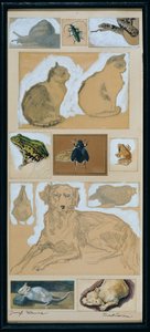 Studi di animali (12 schizzi) da Josef Wawra