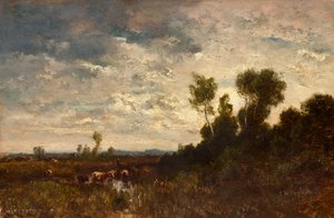 Paesaggio di brughiera