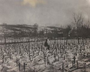 Cimitero militare