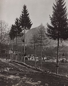 Album "Meine weltkriegs - Erinnerungen South-West Front (Carinzia, Italia, Trentino-Alto Adige) 31/03/1915-12/11/1918 - Josef Zohles Wien": macerie di Pliczna (foto b/n)