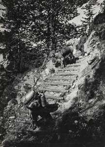 Album "Meine weltkriegs - Erinnerungen South-West Front (Carinzia, Italia, Trentino-Alto Adige) 31/03/1915-12/11/1918 - Josef Zohles Wien": muli dell