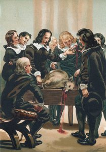 William Harvey dimostra la circolazione del sangue