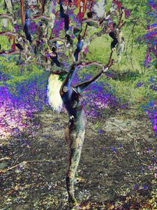 Albero blu