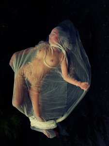 Volo