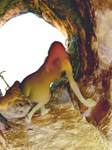 Nella caverna
