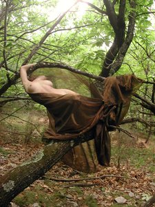 Venere