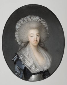 Principessa Maria Teresa di Savoia 1756-1805, Contessa d
