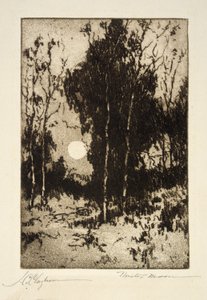 Signor Moon