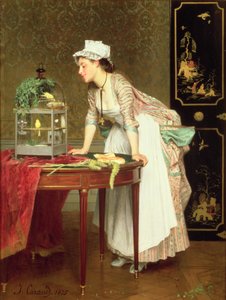 I canarini gialli da Joseph Caraud