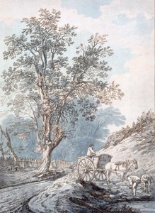 Carro e cavallo