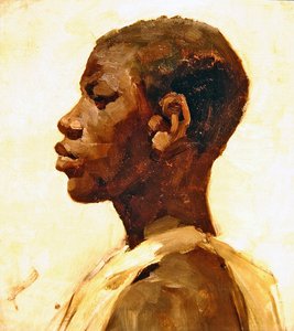 Testa di un negro