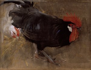 Il Gallo Nero
