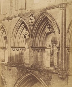 Abbazia di Rivaulx. Gli archi del triforio