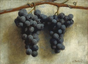 Uva, 1890-1895 circa (olio su tela) da Joseph Decker