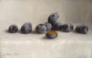 Dodici prugne, 1896 da Joseph Decker