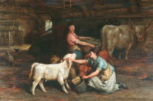 Nutrire i vitelli da Joseph Denovan Adam