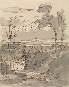 Alberi e paesaggio collinare