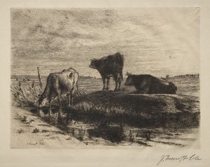 Le tre mucche da Joseph Foxcroft Cole
