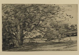 Studio di alberi, 1870 da Joseph Frank Currier
