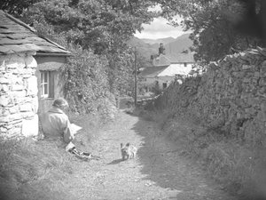 Una donna seduta a leggere con un cane in un viottolo da Joseph Hardman