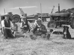 Lavoratori agricoli che si rilassano in un campo di fieno con cani e trattori sullo sfondo da Joseph Hardman