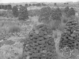 Pile di torba