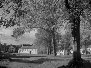 Alberi in foglie e vista sugli edifici del villaggio