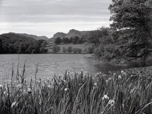 Vista sul Loughrigg Tarn da Joseph Hardman