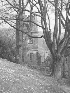 Vista di una chiesa; architettura; religioso; ecclesiastico; torre attraverso gli alberi
