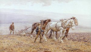 Aratura delle Colline