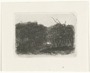 Veduta del bosco da Joseph Hartogensis