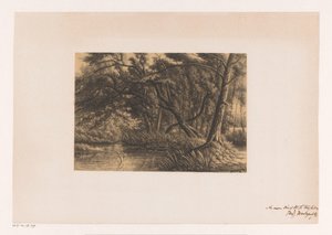 Paesaggio boschivo con stagno da Joseph Hartogensis
