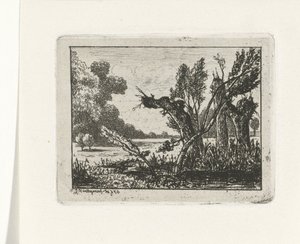 Salici capitozzati da Joseph Hartogensis