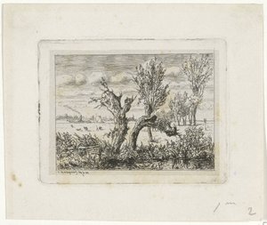 Paesaggio con salici capitozzati da Joseph Hartogensis