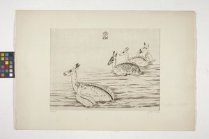 Cerfs Indochinois I (Cervi indocinesi I)