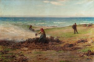 Bruciatura di Alghe da Joseph Henderson