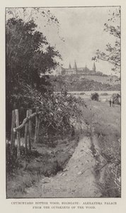 Churchyard Bottom Wood, Highgate, Alexandra Palace dai dintorni del bosco da Joseph Holland Tringham