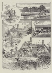 Schizzi Vagabondi, Ockley, Surrey