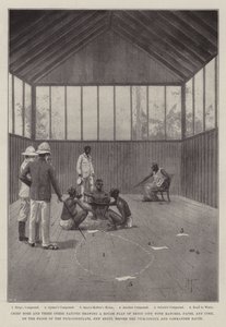 La spedizione di Benin da Joseph Holland Tringham