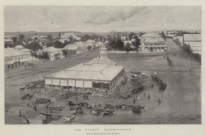 Il mercato, Bloemfontein da Joseph Holland Tringham