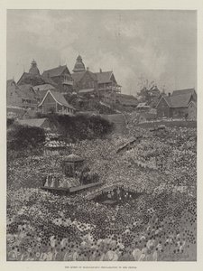 Proclamazione della regina del Madagascar al suo popolo da Joseph Holland Tringham