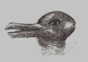 Illusione anatra-coniglio. Da: Jastrow, J. L