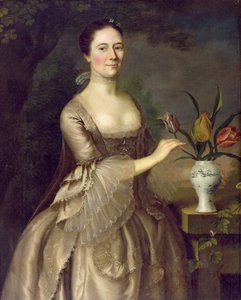 Ritratto di una donna (chiamata Mrs Davenport) c.1762