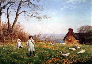 Amici e Nemici