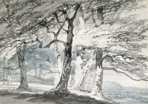Norbury Park, Surrey da Joseph Mallord William (attr.to) Turner