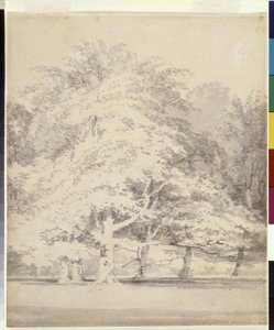 Faggi da Joseph Mallord William Turner
