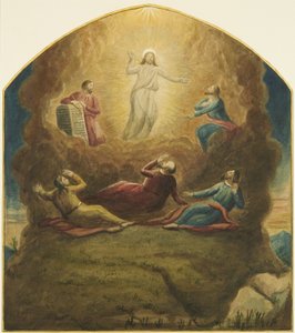 Pala d