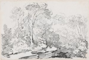 Alberi