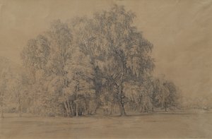 Gruppo di betulle nel parco del castello di Seebenstein in Bassa Austria da Joseph Martin Höger